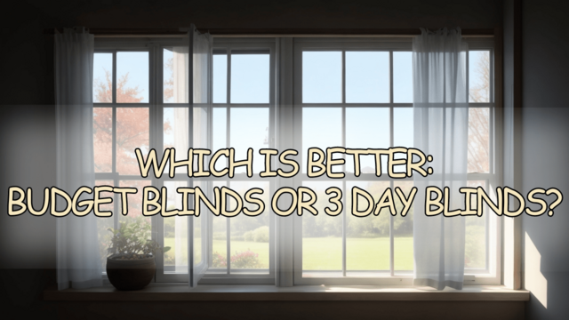 Which is better budget blinds or 3 day blinds
