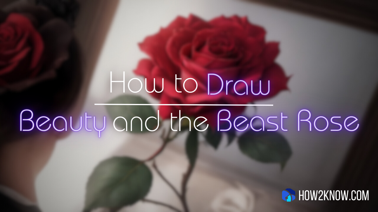 How to draw beauty and the beast rose